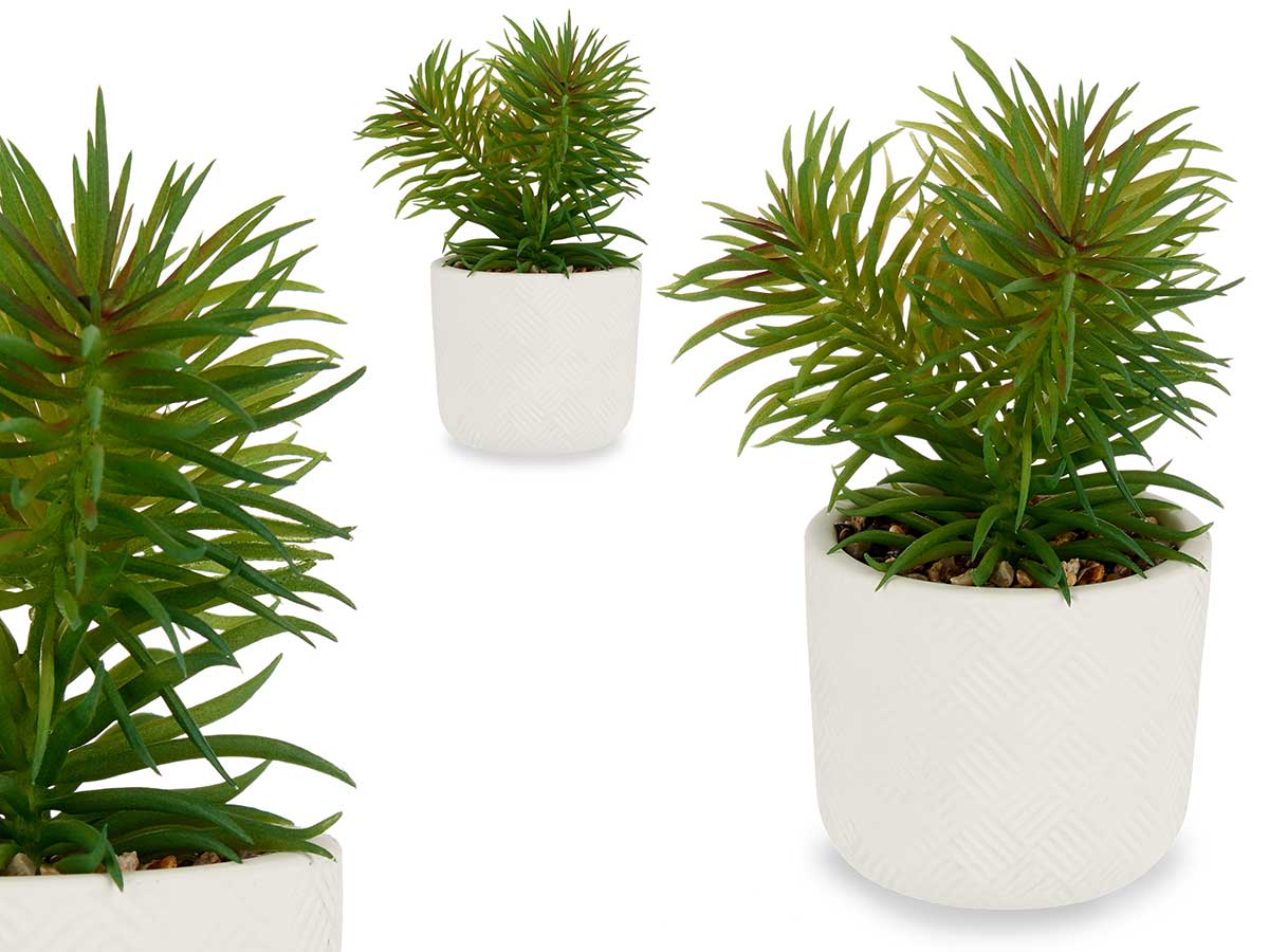 PLANTA HOJA FINA CON MACETA BLANCA 9X14CM