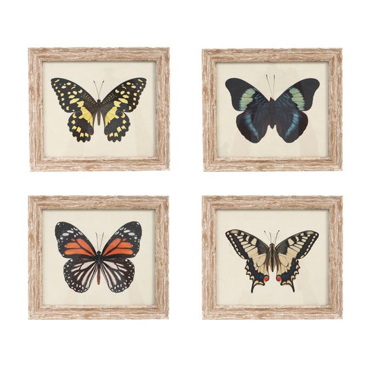 CUADRO 21X18 MARIPOSA