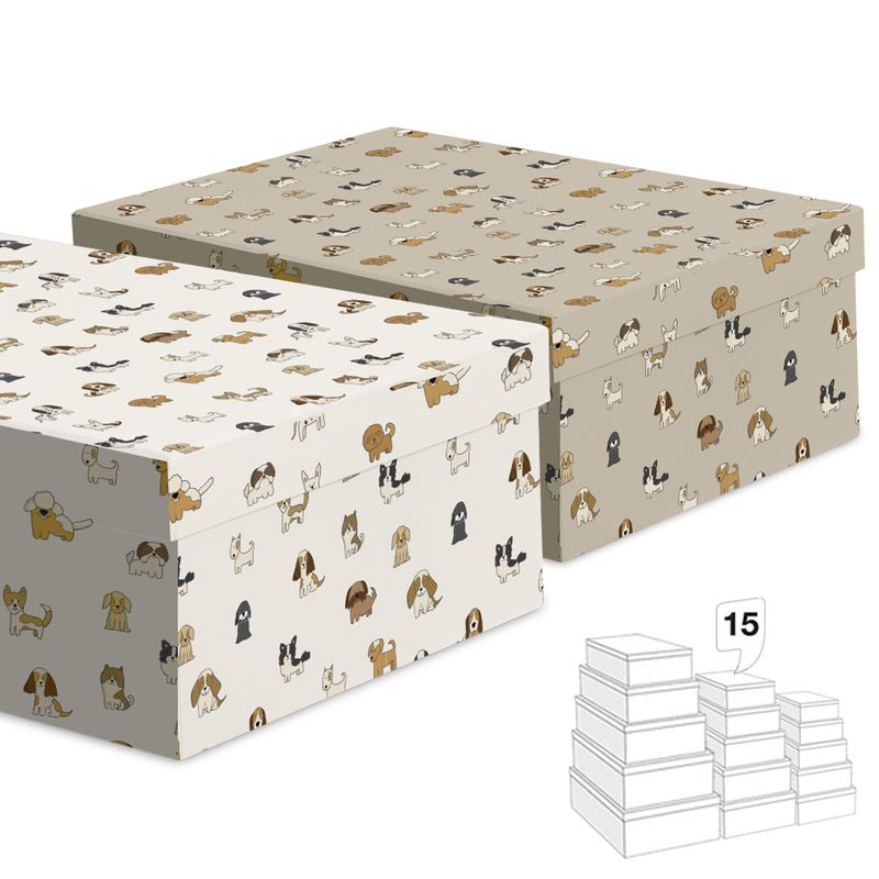 CAJAS PERRITOS