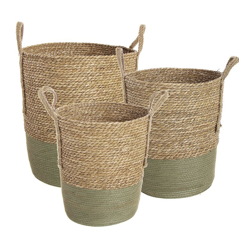 PONGOTODOS BICOLOR VERDE