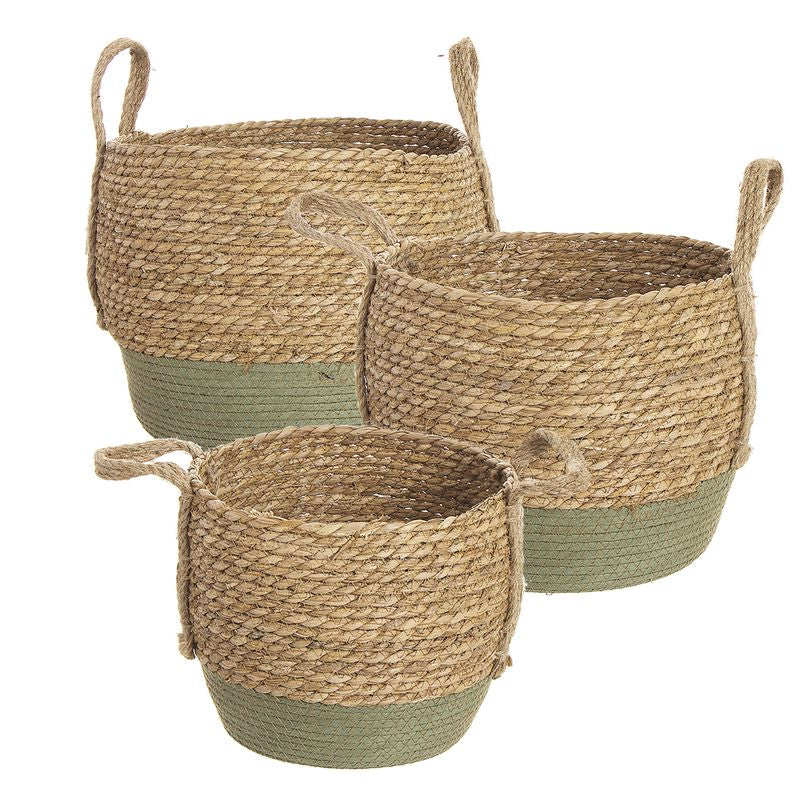 CESTOS BICOLOR VERDE