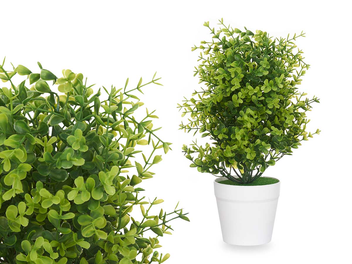 PLANTA VERDE CON MACETA BLANCA