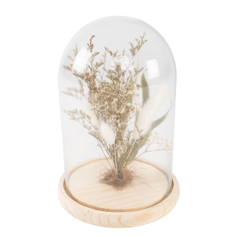 PLANTA EN CAMPANA CRISTAL ROSEMARY