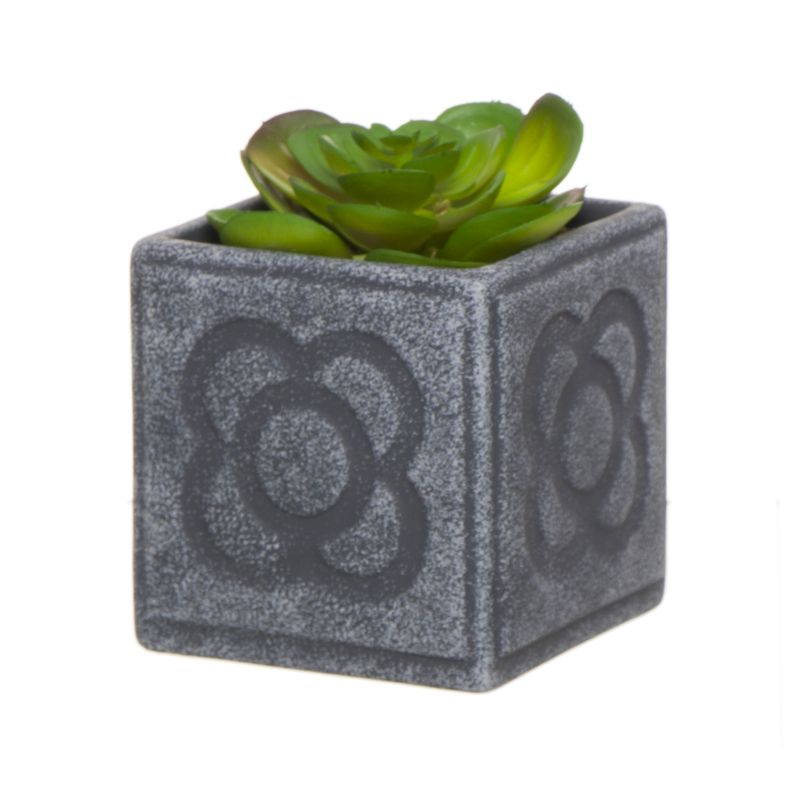 CACTUS EN MACETA PANOT L