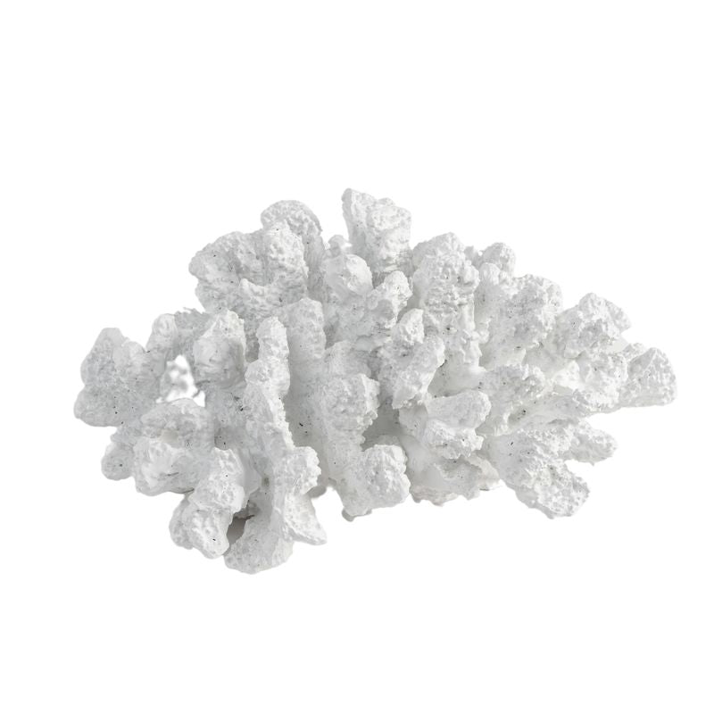 CORAL DECORATIVO BLANCO
