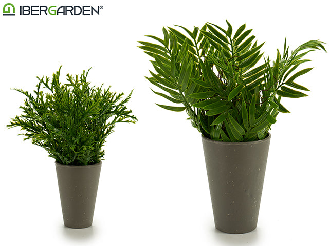 MACETA GRIS HOJAS LARGAS 2 MODELOS