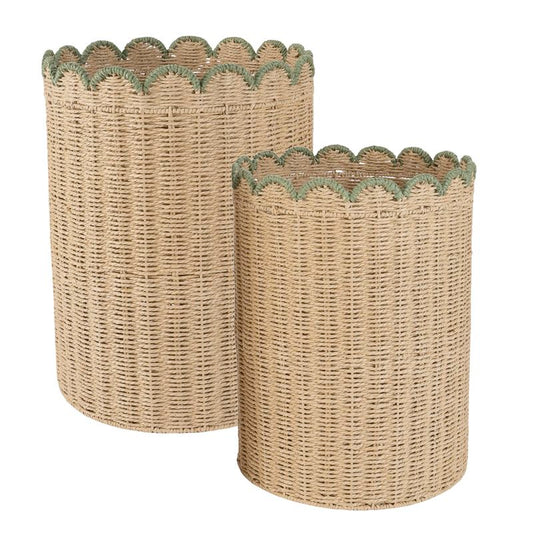 PONGOTODO BICOLOR VERDE