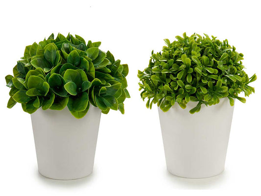 MACETA BLANCA HOJAS CORTAS