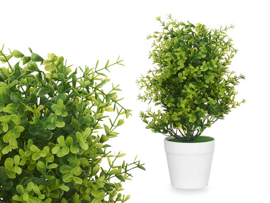 PLANTA VERDE CON MACETA BLANCA